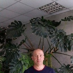 Фото Алексей, Николаевка, 45 лет Алексей, Николаевка, 45 лет