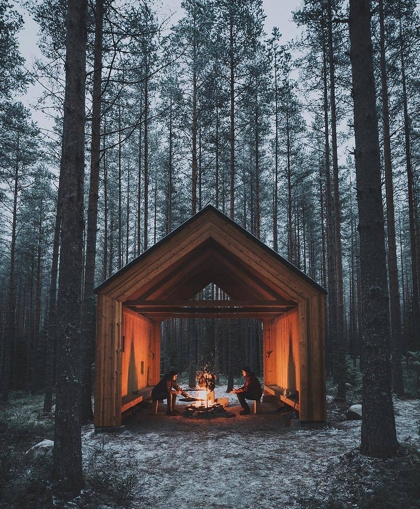 Домик в лесу Скандинавия