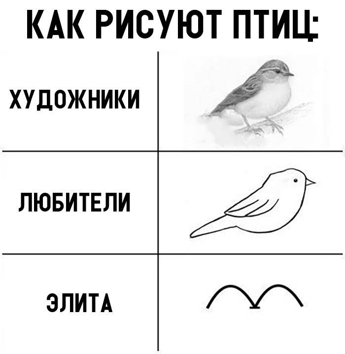 Картинка штош птица