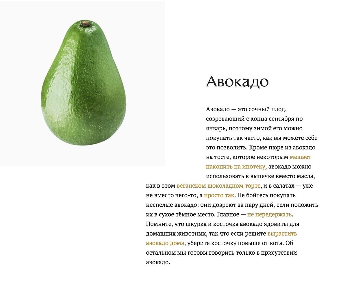 авокадо полезные свойства фото