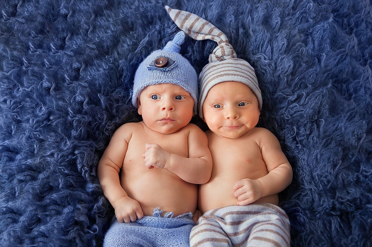 фото двойняшек 1 год