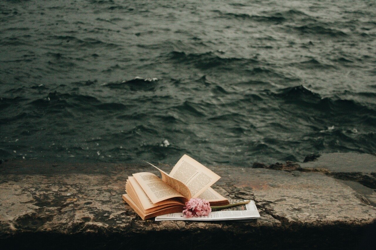 Девушка с книгой у моря