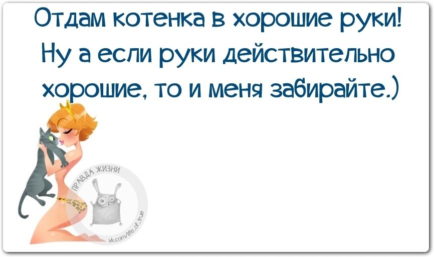 Отдам мужа в хорошие руки картинки