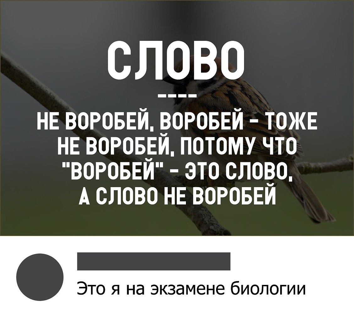 Тоже потому. Слово не Воробей. Слово не Воробей Воробей тоже. Слово не Воробей Мем. Слово не Воробей шутка.