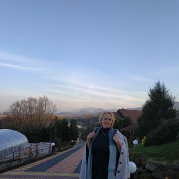 , 53 , 