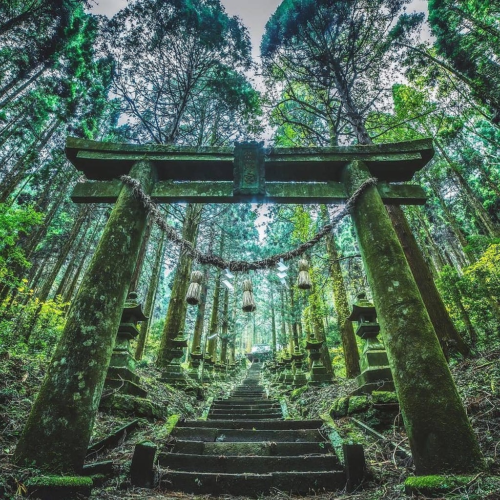 Шайнин лес, Япония