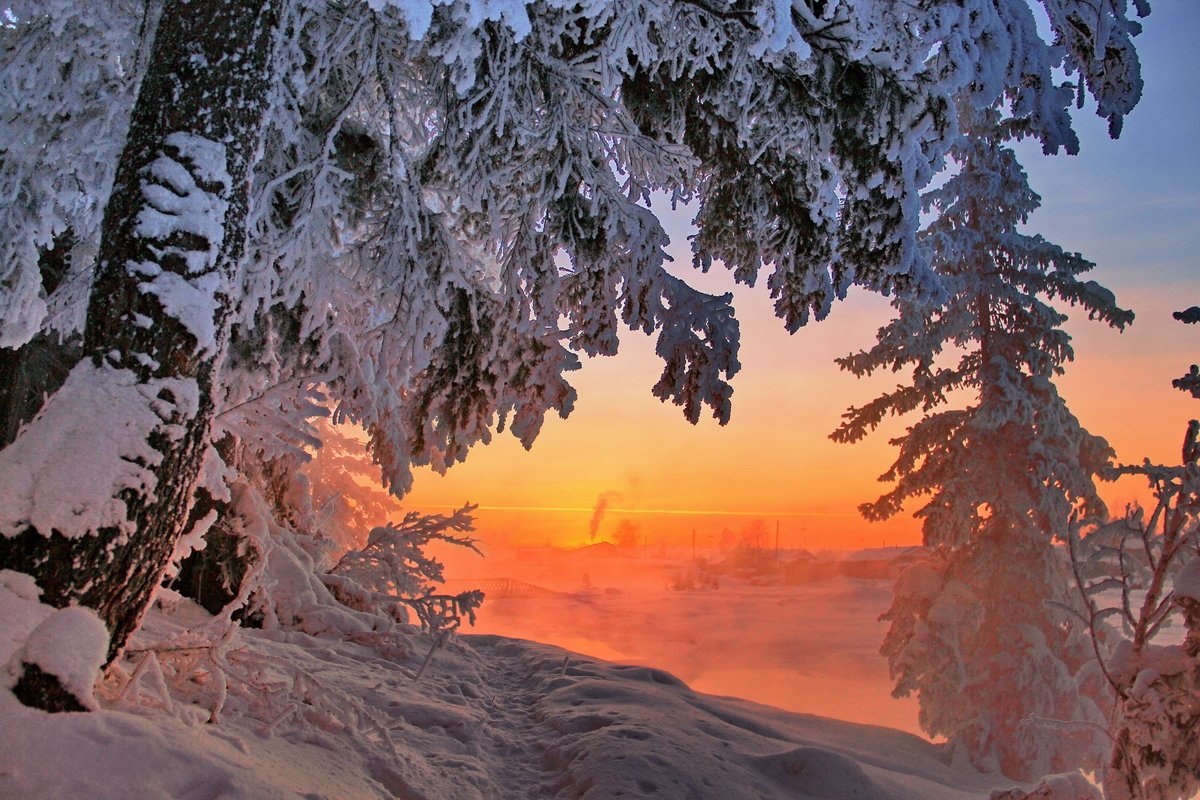 Фото Вечера Зима
