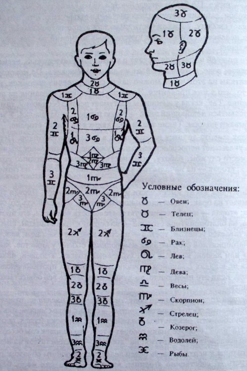 Родинки на лице значение у мужчин схема значение