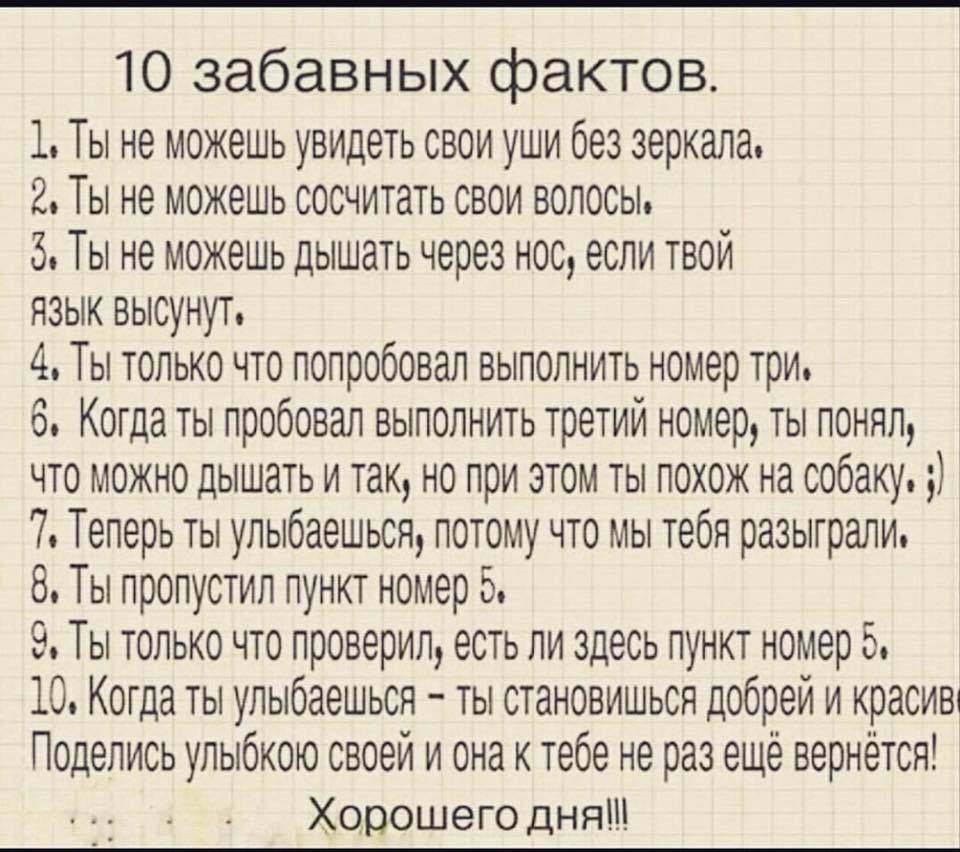 В истории футбола существует немало интересных и забавных фактов план из 3 пунктов