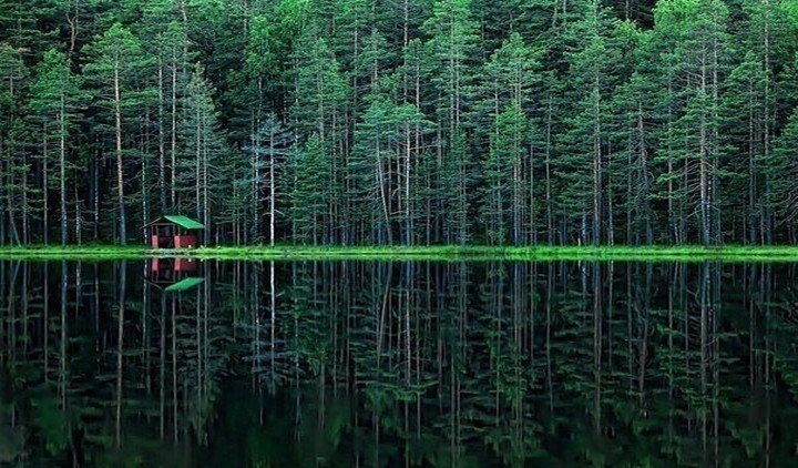 Радоновые озера - Впечатления Питера, №1918663913 | Фотострана – cайт ...