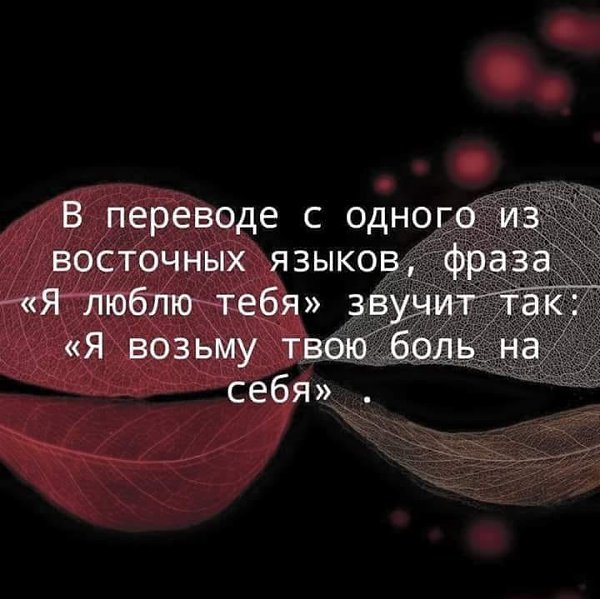 Твоя взяла. Я возьму твою боль на себя. Заберу твою боль. В переводе с одного из восточных языков фраза я люблю тебя звучит так. Я возьму всю боль на себя.