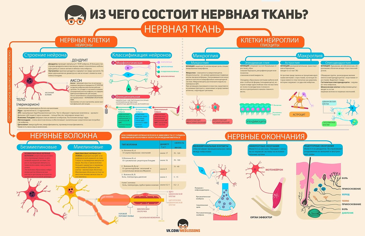 Неврология таблицы и схемы