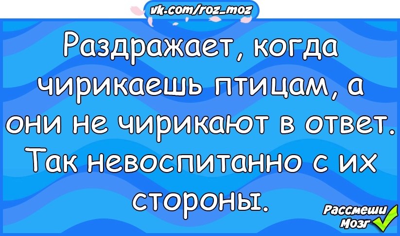 Смеется тот кто смеется последним картинки