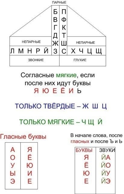 Таблица звуко буквенного разбора схема
