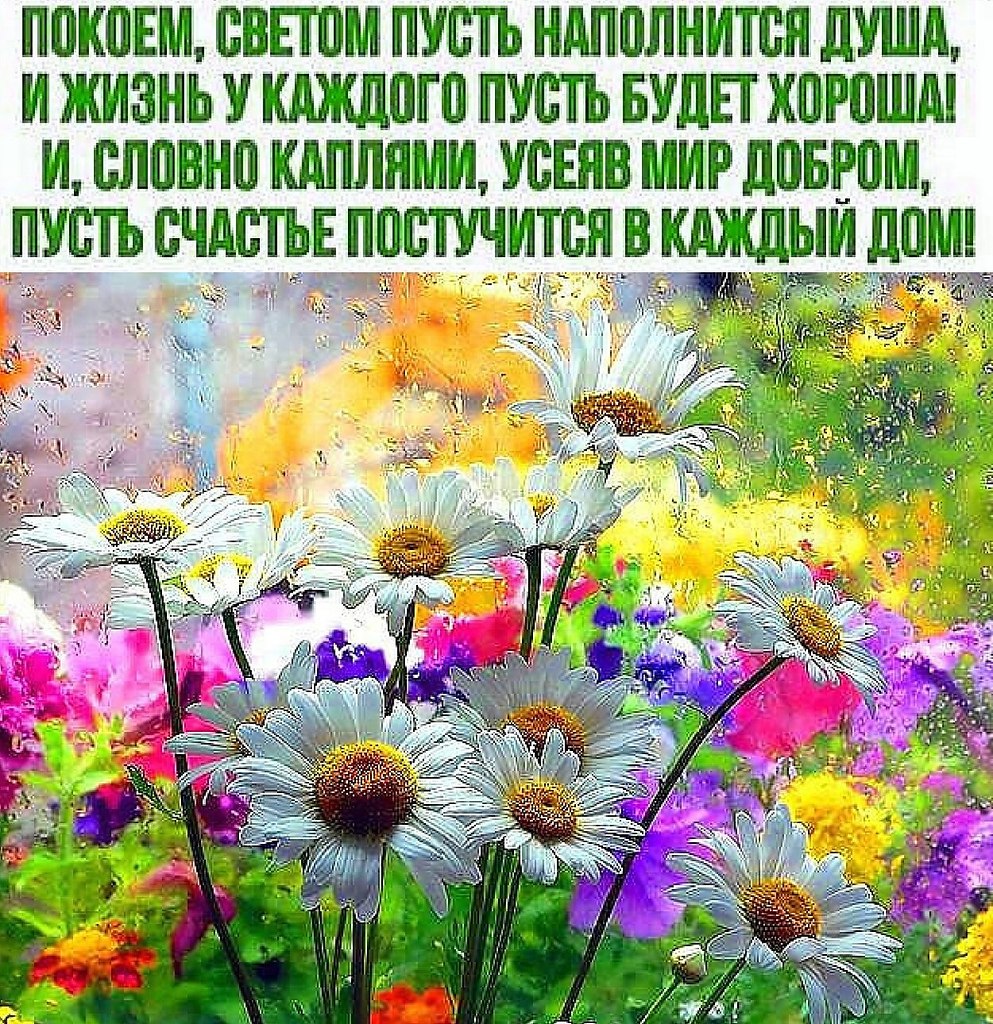 Пусть будет свет. Пусть в жизни все будет хорошо. Мир и покой в душе. Пусть жизнь наполнится добром. Счастье в каждом дне.