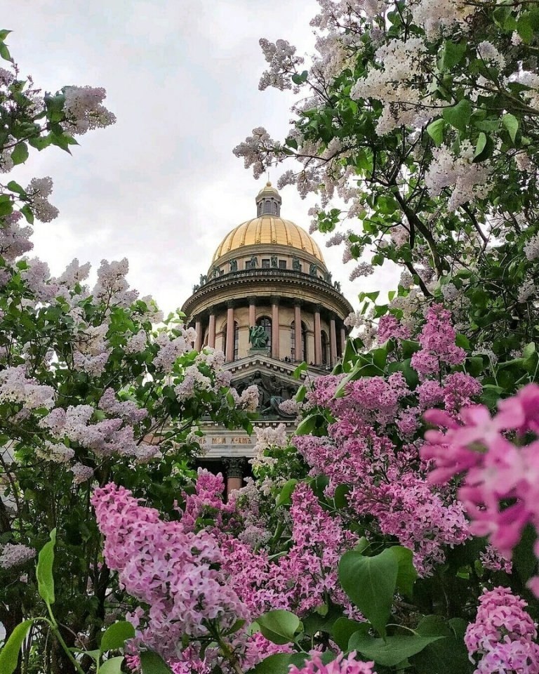 Весна в санкт петербурге фото