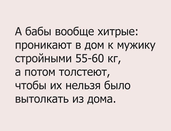 План мужика. А бабы вообще хитрые. А бабы вообще хитрые проникают в дом к мужику. Женщина вообще то.