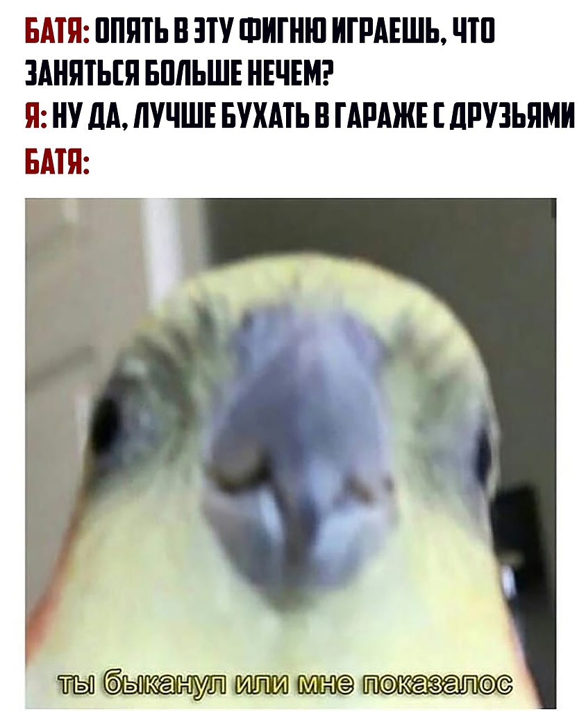 Прошу прощения зря быканул