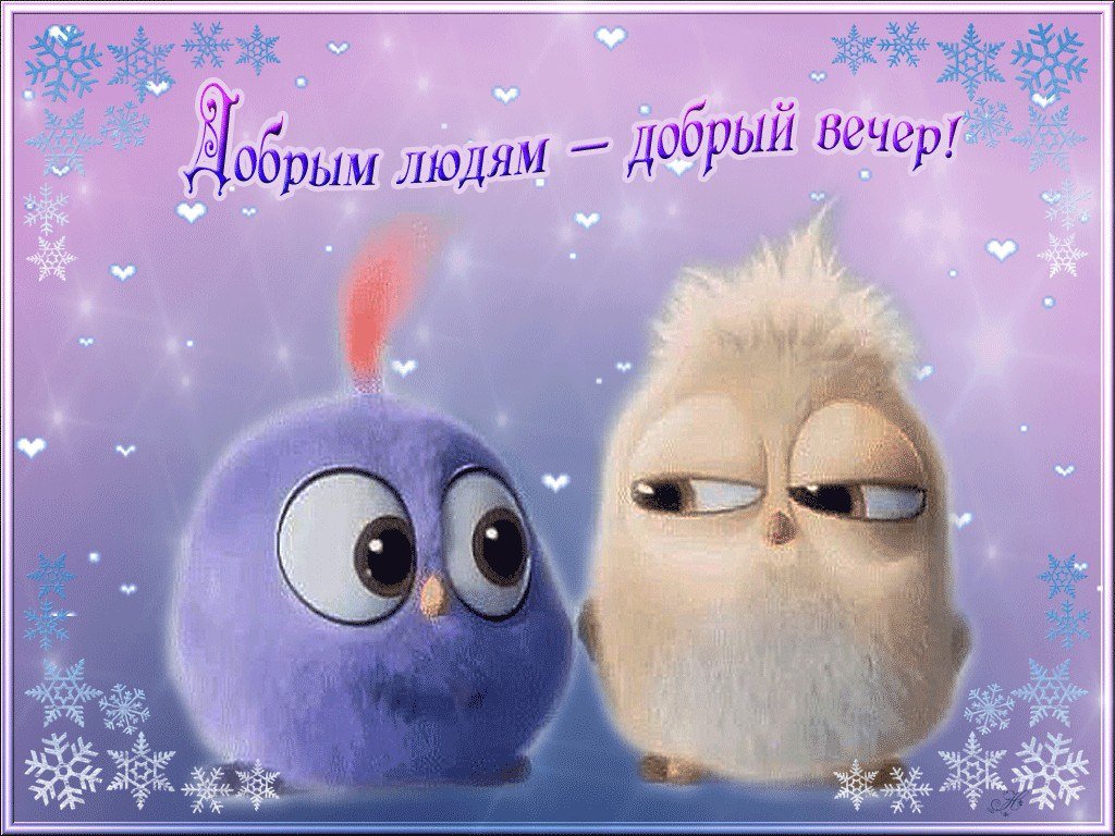 Пожелания на вечер картинки прикольные, картинки ура