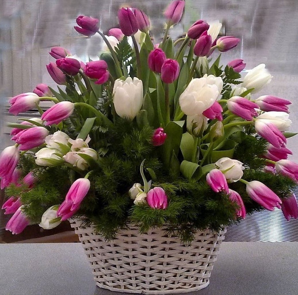8 марта тюльпаны фото