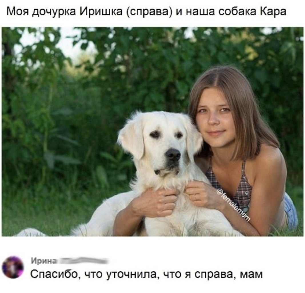 Девочка живет с собаками