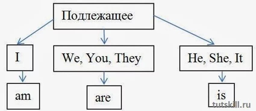 Схема на английском. Подлежащее и сказуемое в английском языке. Подлежащие английского языка. Подлежащее и глагол в английском языке. Подлежащие и сказуемые английский.