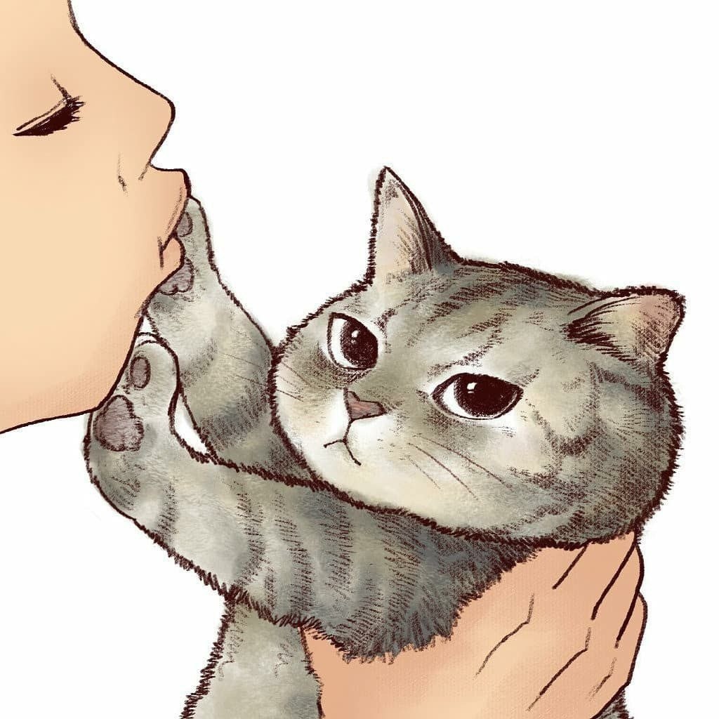 Сирень картинки, открытки с котиками любимому