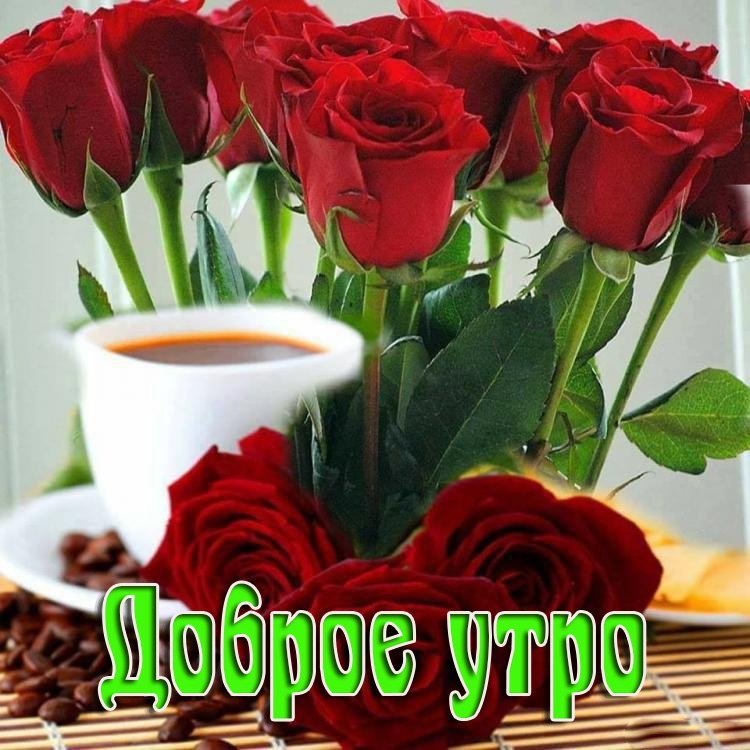 Открытки девушки с цветами доброе утро, открытка