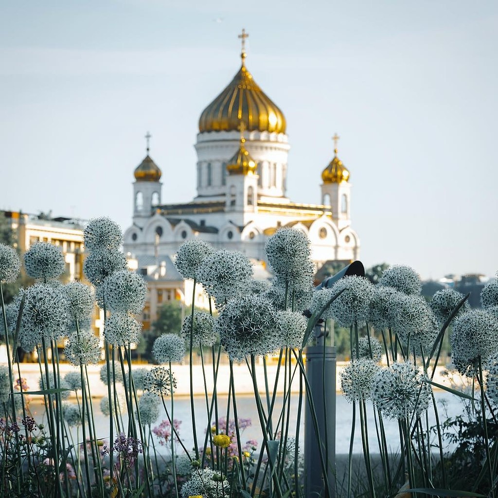 доброе утро москва