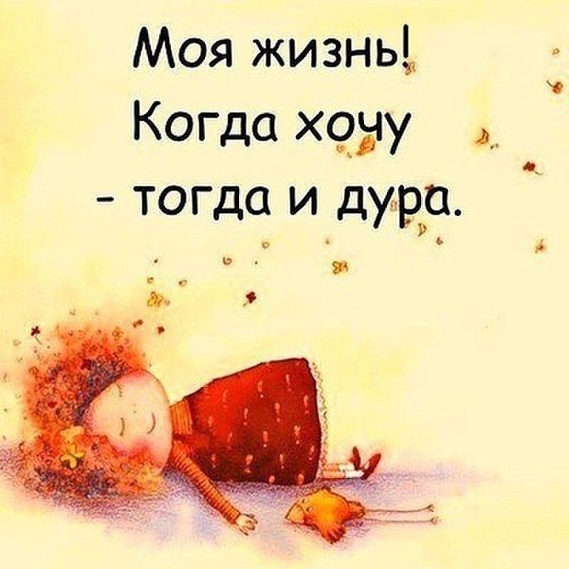 картинки достала дура фантазии, офисных бумаг