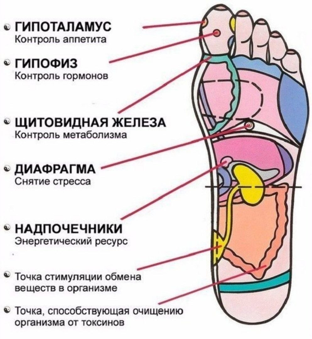 Биологически активные точки на стопе