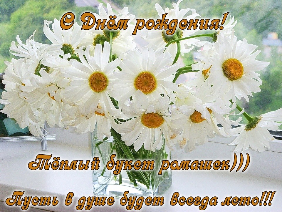 Красивые открытки с днем рождения ромашки женщине