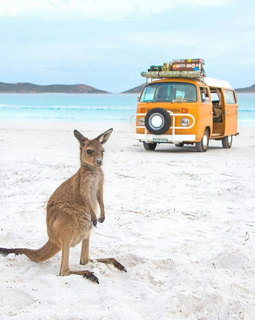 Австралия путешествие