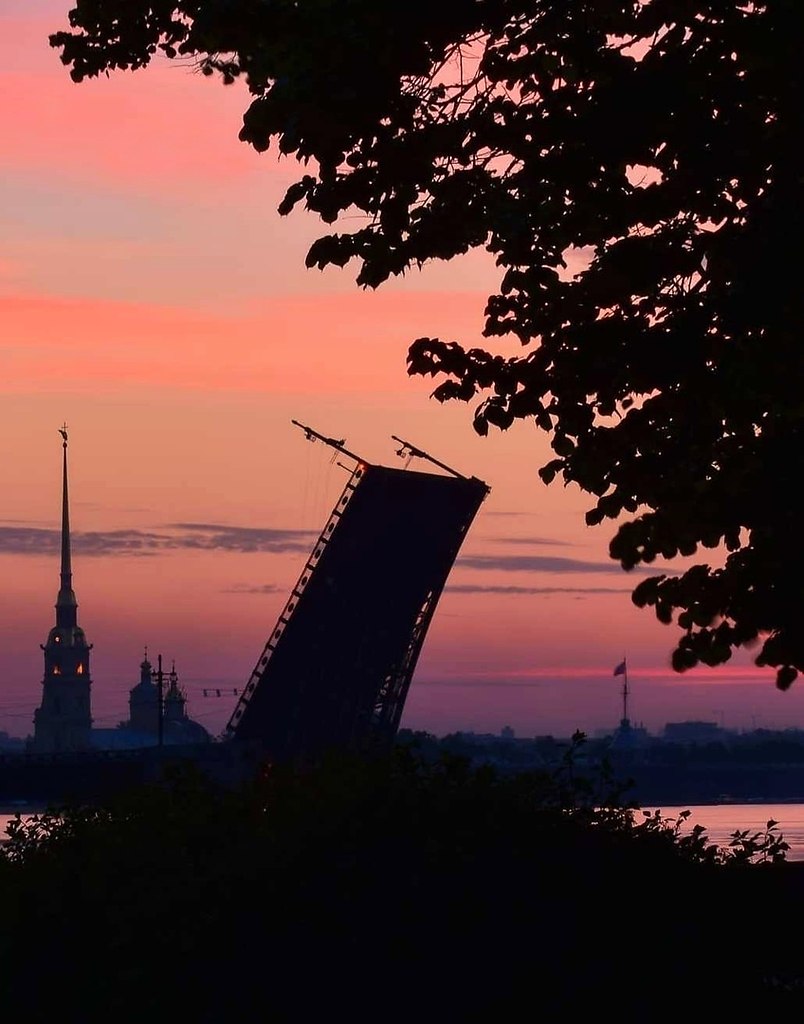 фото белые ночи в санкт петербурге красивое