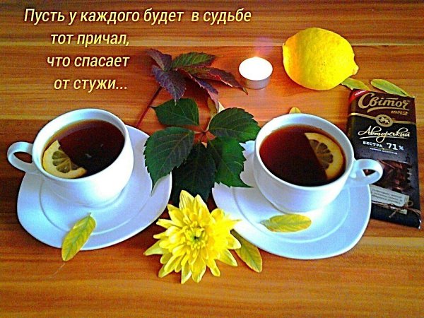 Картинка с добрым утром мой милый друг, дню матери открытки