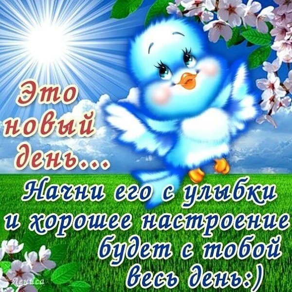 Открыткой, открытки добрые пожелания на весь день