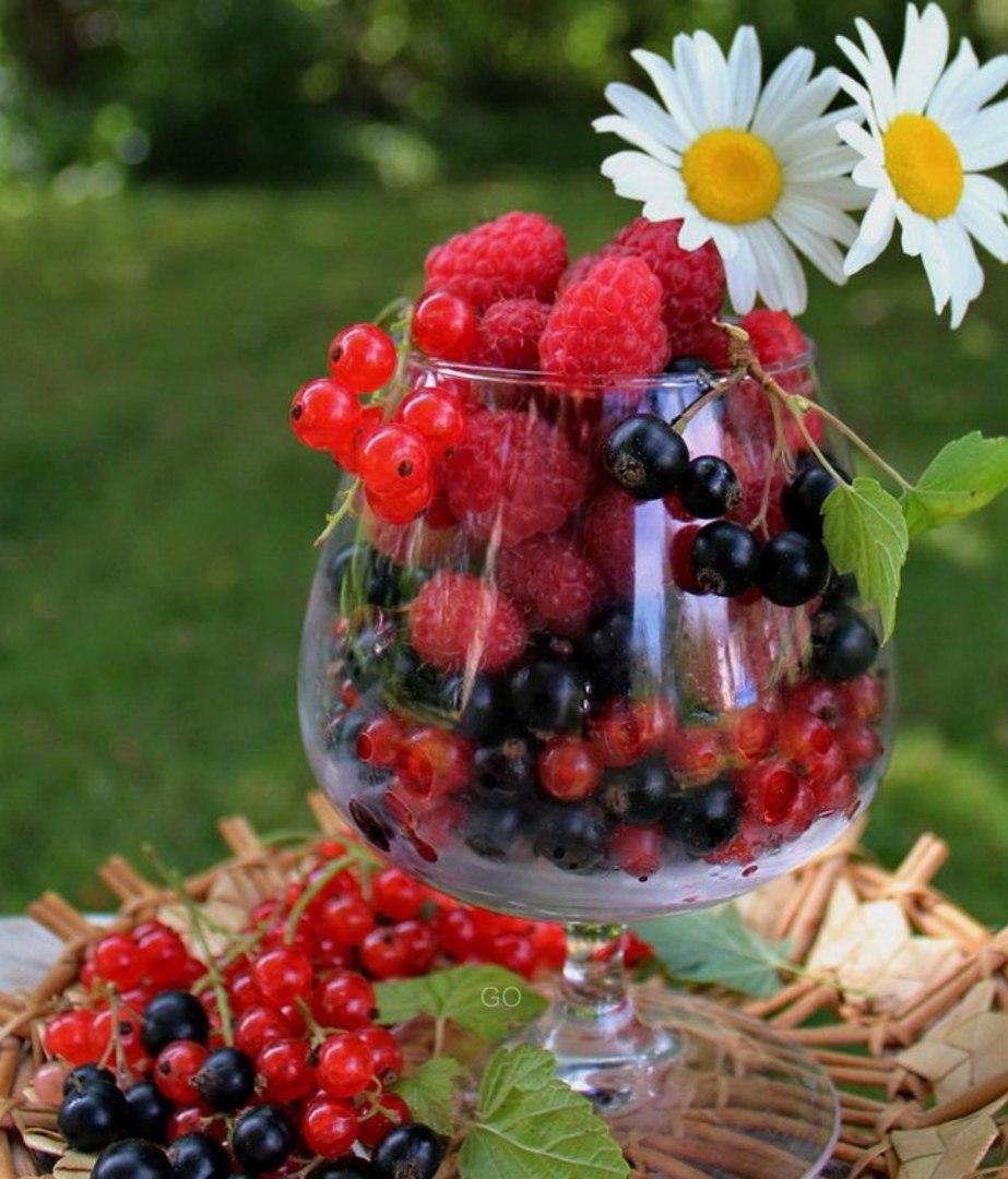 Летние садовые ягоды