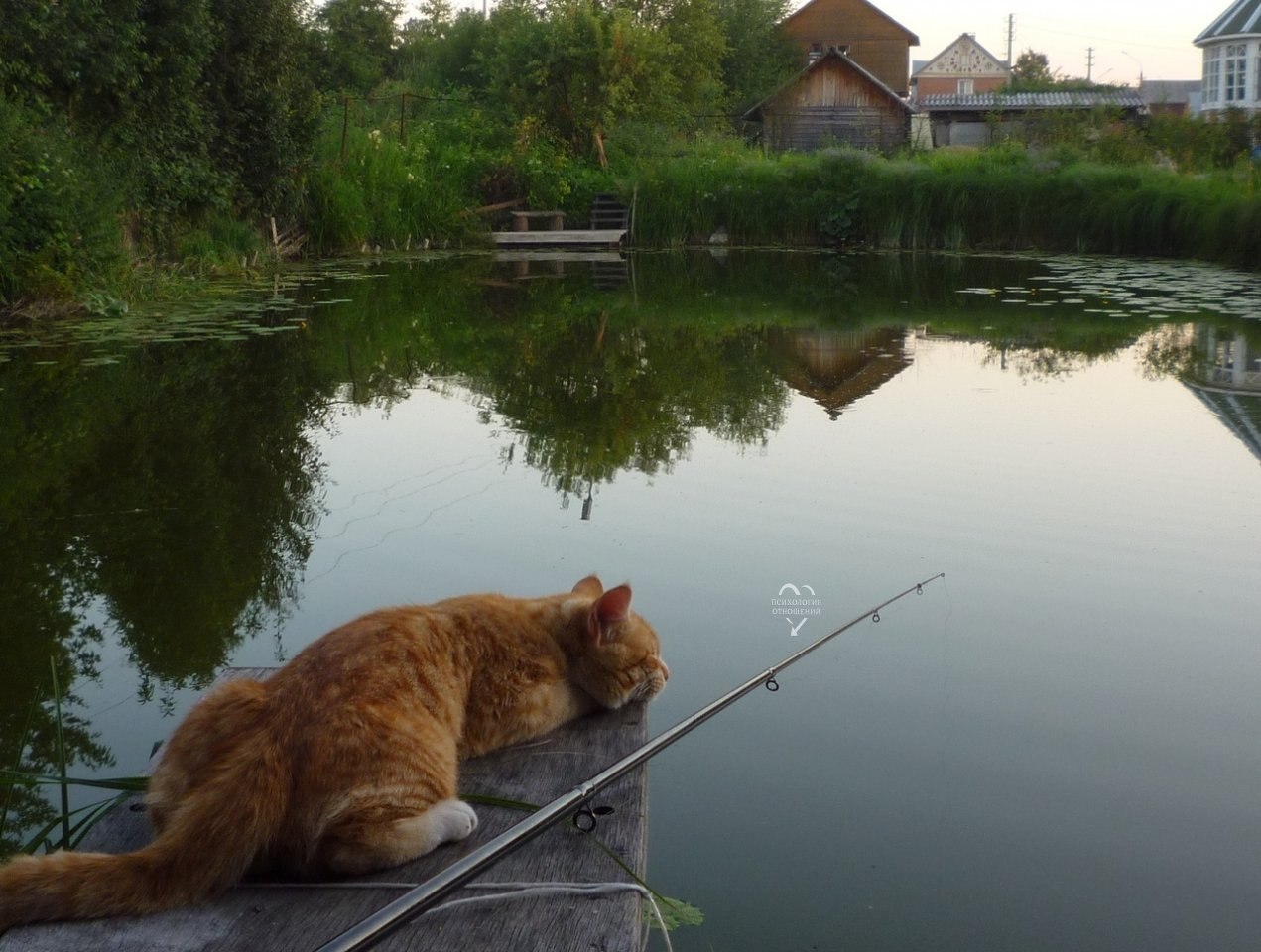 Ловись рыбка большая и маленькая картинки прикольные