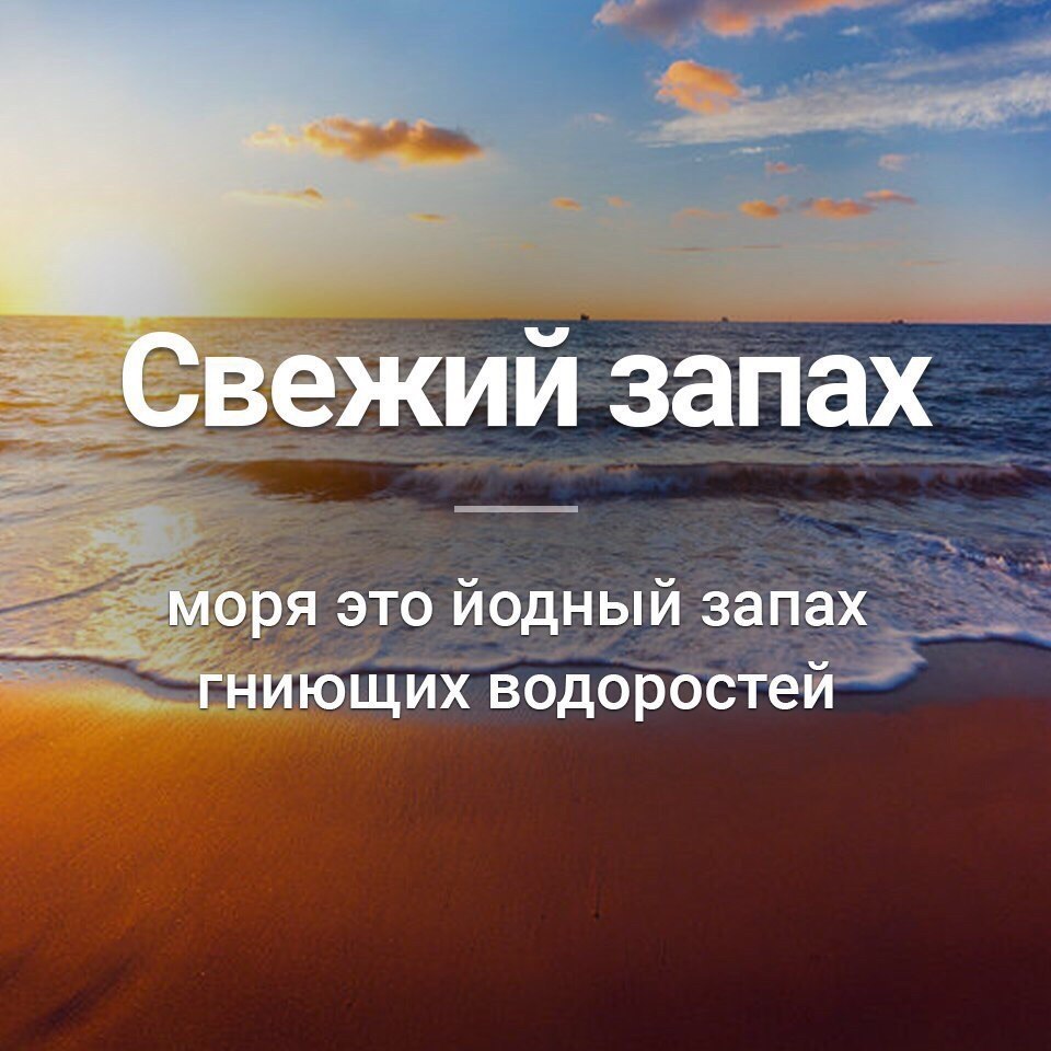 Пока море