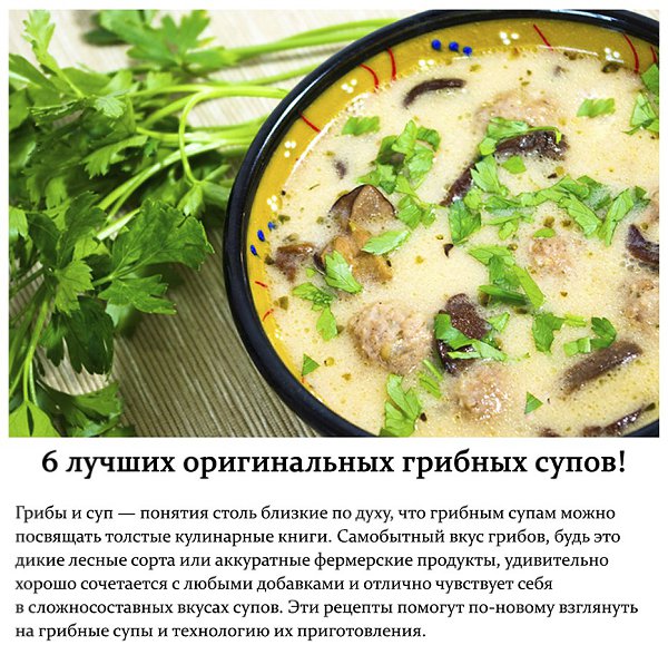 Азбука вкуса суп грибной