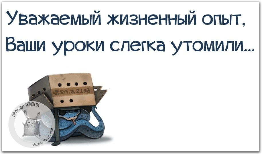 Ваш урок. Жизненный опыт юмор. Уважаемый жизненный опыт. Уважаемый жизненный опыт ваши уроки. Уважаемый жизненный опыт ваши уроки слегка утомили.