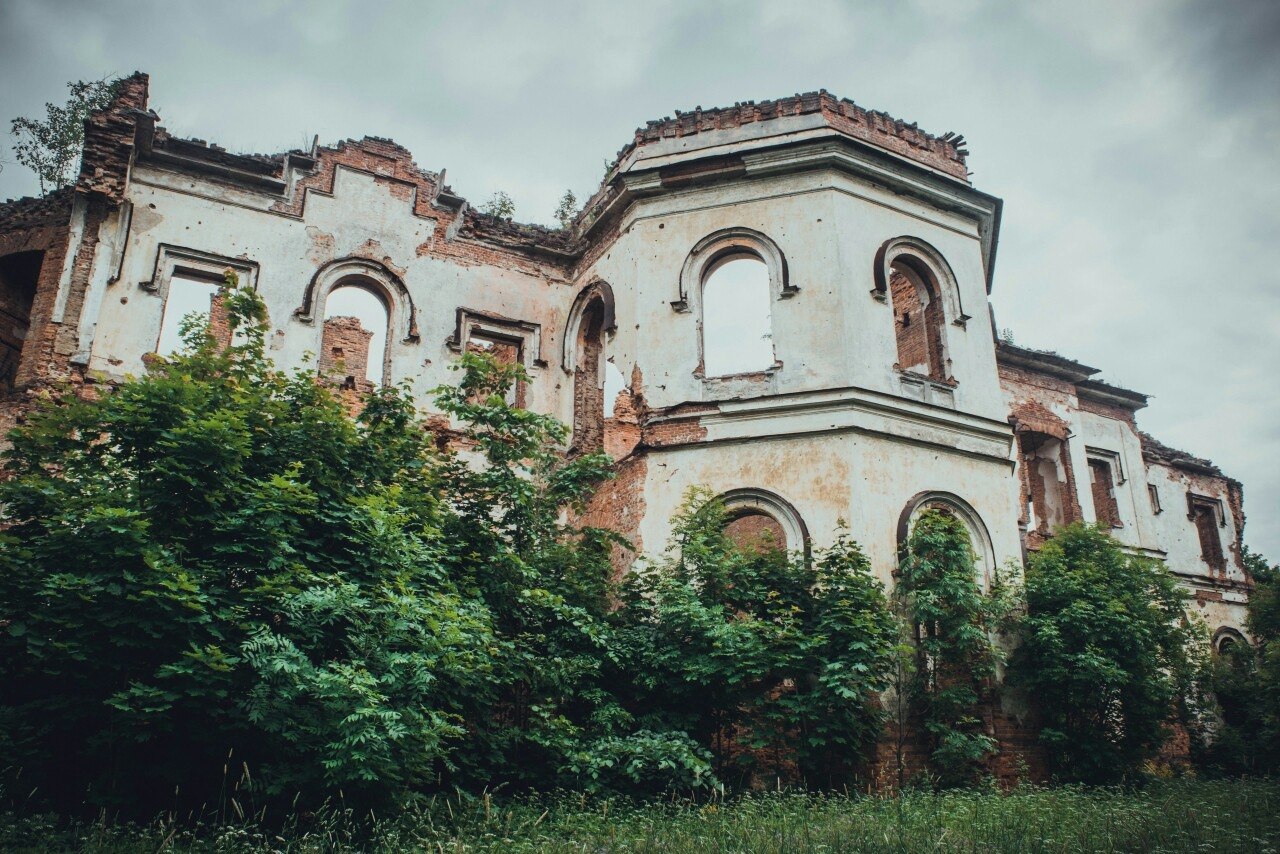 Дворец в гостилицах фото