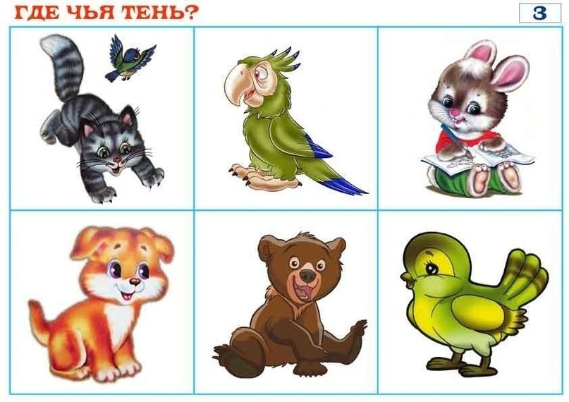 НАЙДИ ГДЕ ЧЬЯ ТЕНЬ - 7