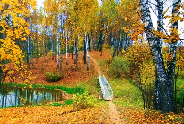 Краски жизни видное фото