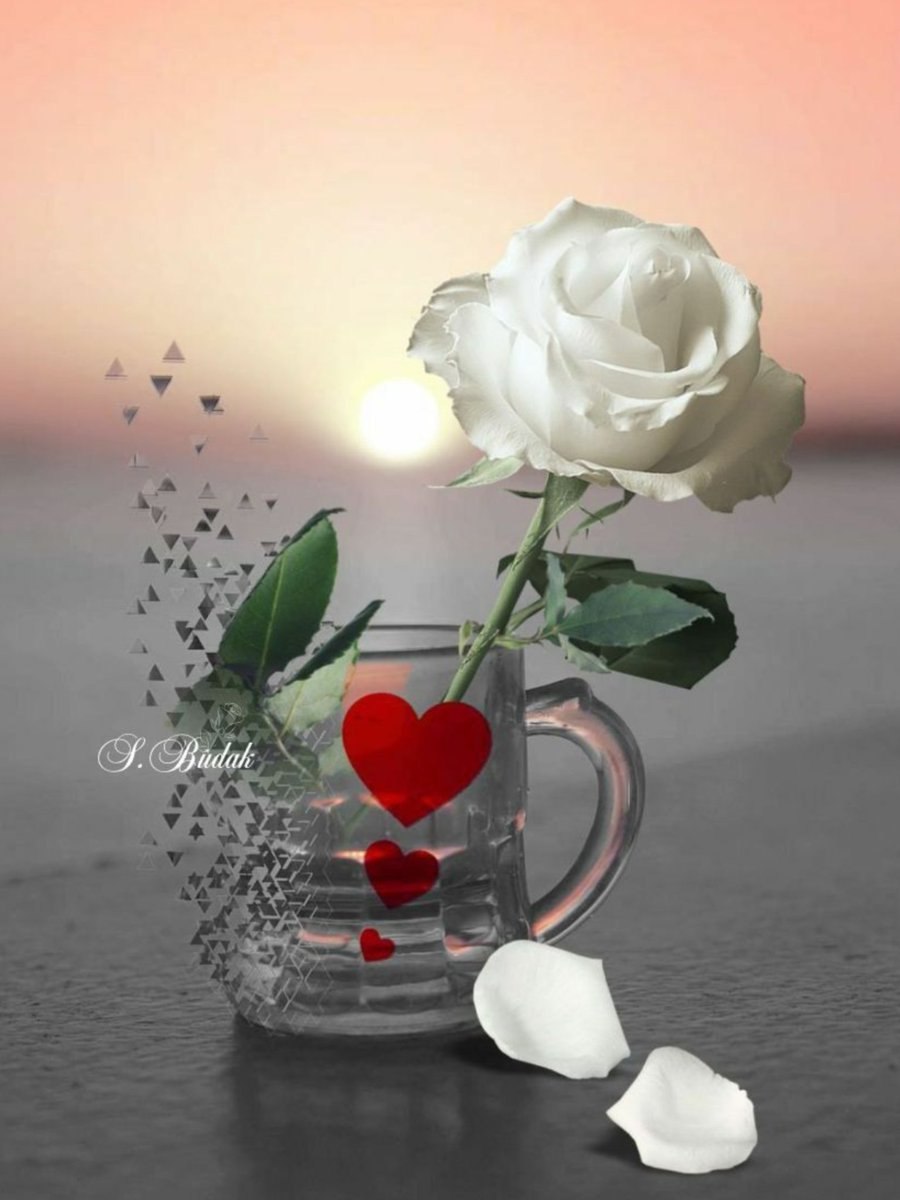 Доброе утро любимая с белыми розами