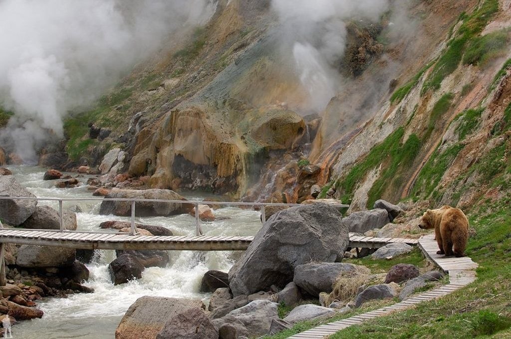 Долина мини гейзеров на камчатке фото