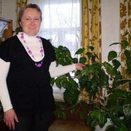 Татьяна Беспалова, 64 года, Рузаевка