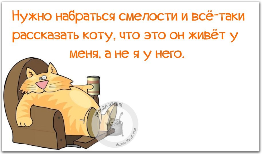 Утром надо быть особенно осторожным одно неловкое движение и ты снова спишь картинки