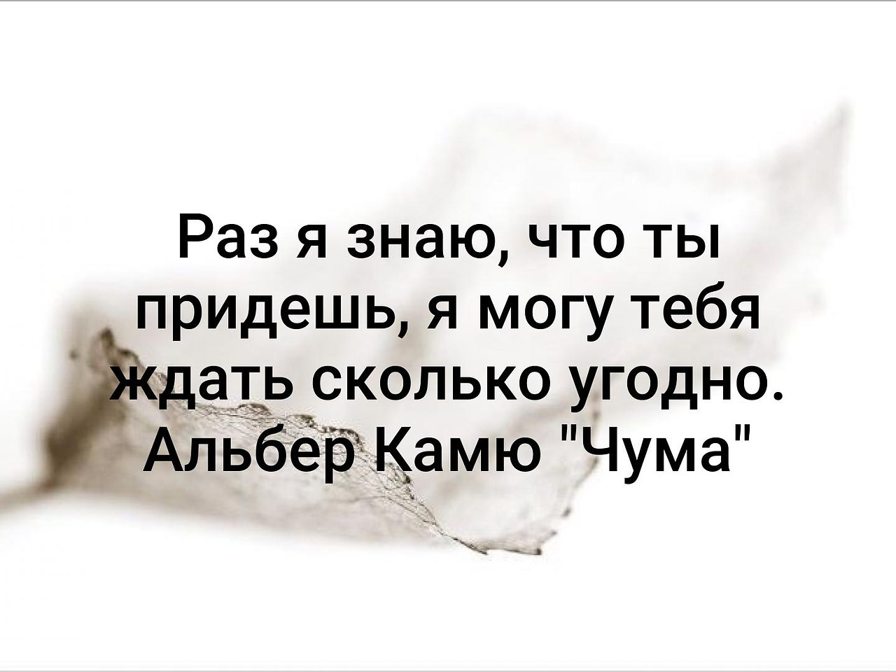 Главное знать. Раз я знаю что ты придешь я могу тебя ждать сколько угодно. Раз я знаю что ты придешь я могу тебя ждать сколько угодно Альбер Камю. Я знал что ты придешь. Можно ждать сколько угодно.