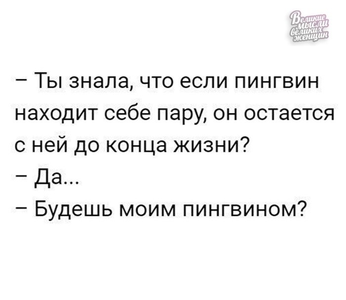 Что будет в конце жизни. Будешь моим пингвинчиком. Пингвины ищут пару на всю жизнь. Ты будешь моим пингвином. Пингвины находят себе пару на всю жизнь